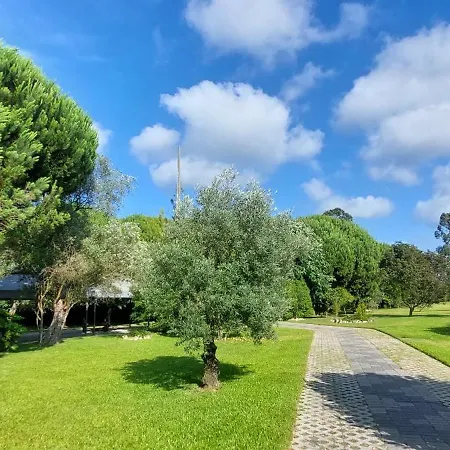 Privatunterkunft Quinta Do Mateus Aveiro