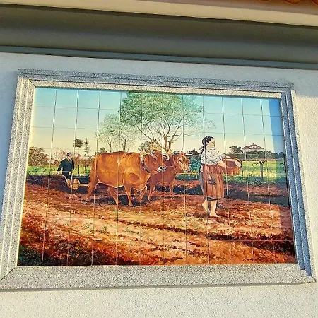 Quinta Do Mateus Alloggio in famiglia *