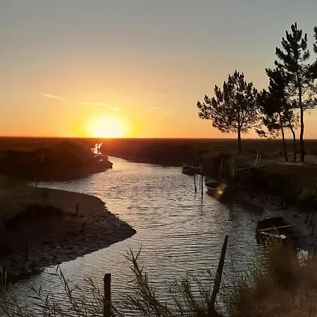 Quinta Do Mateus Homestay szállás *