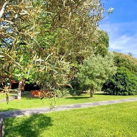 Quinta Do Mateus