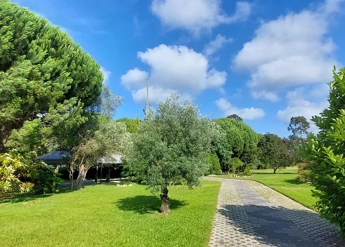 منزل للإقامة Quinta Do Mateus أفيرو