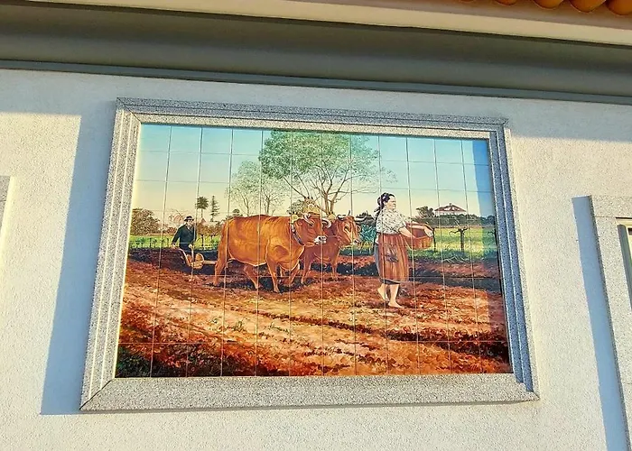 Quinta Do Mateus منزل للإقامة *