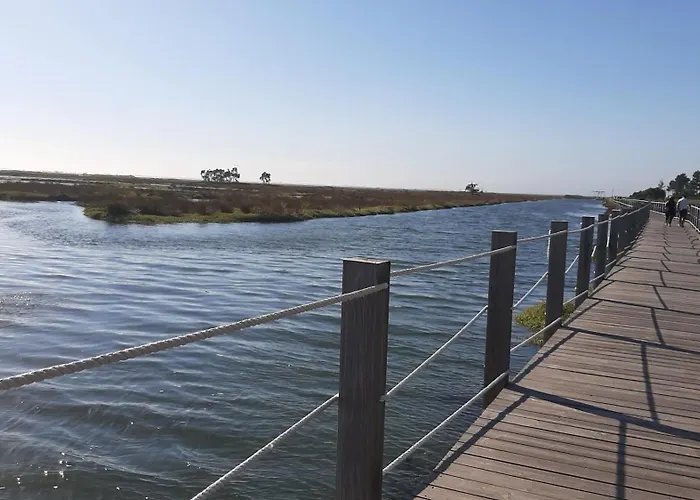 בית אירוח Quinta Do Mateus אבאירו